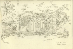 RabbitIsland03