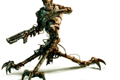 rob1